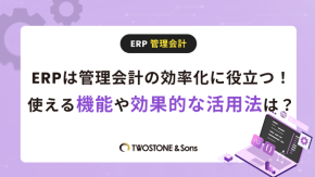 ERPは管理会計の効率化に役立つ！使える機能や効果的な活用法は？のイメージ