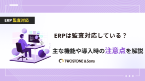 ERPは監査対応している？主な機能や導入時の注意点を解説のイメージ