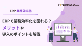 ERPで業務効率化を図れる？メリットや導入のポイントを解説のイメージ