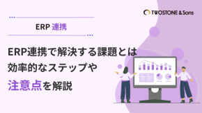 ERP連携で解決する課題とは｜効率的なステップや注意点を解説のイメージ