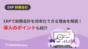 ERPで財務会計を効率化できる理由を解説！導入のポイントも紹介のイメージ