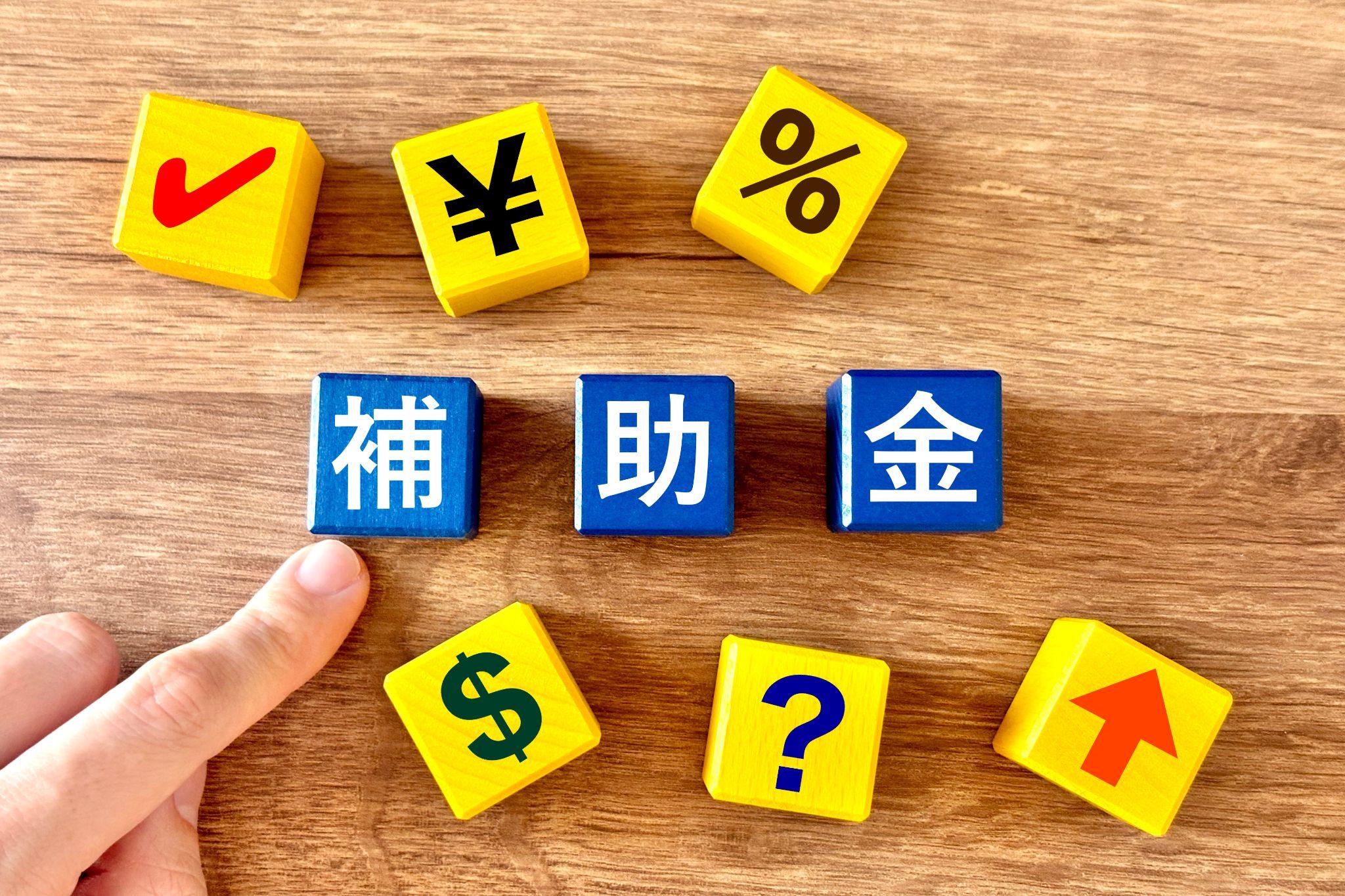医療DXの人材育成で活用できる国のプログラム・補助金のイメージ